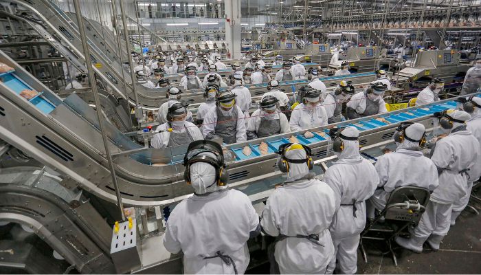  Mercado de empregos aquecido: Paraná tem 23,1 mil vagas abertas nessa semana